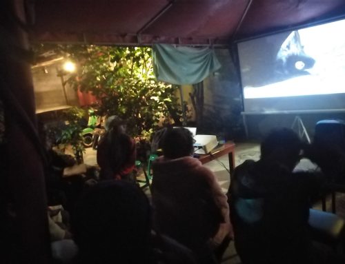 Cine en la Loma Grande